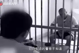 本以为是青铜 没想到是王者 李洪涛 无刷电机视频封面