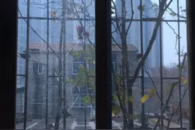 葵花籽碎仁（带很多壳，专喂鸟）和米，管够