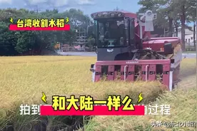 实拍台湾农民收割水稻？与大陆农民一样么？觉得台湾农民幸福呢？视频封面
