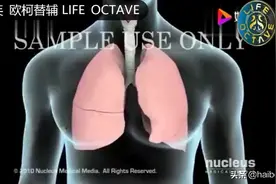 2分钟看懂，呼吸机插管过程及原理动画演示视频封面