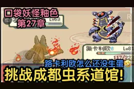 口袋妖怪釉色，第27章，挑战城都虫系道馆！我的路卡利欧还没生蛋视频封面