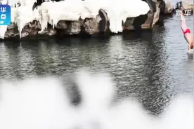 短视频 | 厉害了大爷！花甲老汉悬崖跳水视频封面