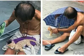 我有猫、猫有我，

虽然我是流浪汉，

但我的猫不是流浪猫图片