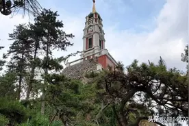 大王叫我来巡山图片