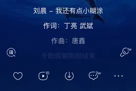 歌《我还有点小糊涂》刘晨唱视频封面