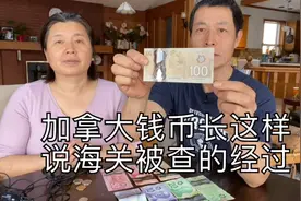 下飞机手里拎着点心，带现金过海关没申报直接被关进小黑屋视频封面