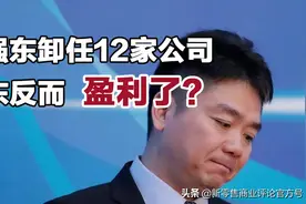 刘强东连续卸任12家公司高管后，京东反而盈利了？视频封面