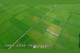 广东省连山壮族瑶族自治县宣传片3分钟