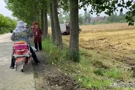 又到农忙时：笑容洋溢在劳动人民的脸上！希望今年是个丰收年！视频封面