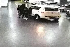 错把油门当刹车，慌里慌张要不得图片