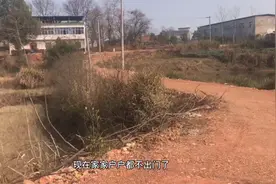 安徽宿松，距离武汉220公里，正月初六了，家家户户还是不出门视频封面