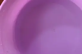 扇贝肉清洗建议做法视频封面