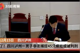 【#男子捉45只癞蛤蟆被判刑#：禁猎区禁猎期非法捕捉视频封面