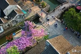 本欲起身离红尘，奈何影子落人间图片