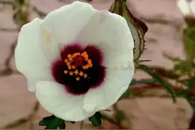 女人对你说“照顾好自己”是啥意思？图片