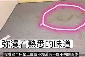 房东半夜打扫租户房间，发现床上都是不明液体，原来每天跟兔子睡视频封面
