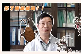 蟑螂那些事：南北方蟑螂原来没有区别，老肖教你轻松消灭蟑螂视频封面