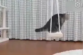 给喵买了个秋千，又在旁边放了个鼓，于是就开始......