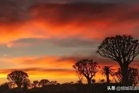 如何拍摄剪影？学会这些技巧，拍摄剪影变得很简单图片
