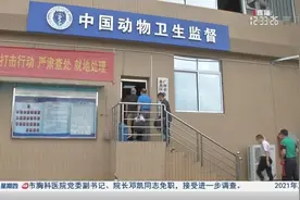 【广州连续六年未发生人狂犬病本地感染病例