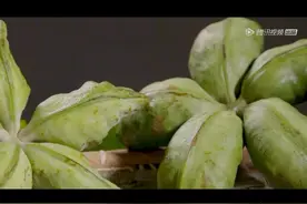 可乐也是“果汁”，是由可乐果制成的