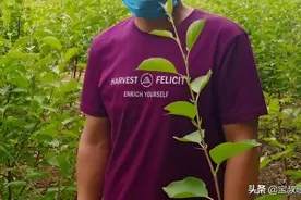 执着的我不在原地守候多年的爱，期盼就是一次次的背叛。图片