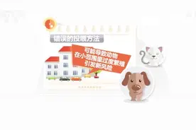 【注意！随意喂养流浪猫狗也可能带来风险！视频封面