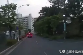 日本也有这样开车的…视频封面
