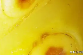 诺丽果。包括微距照片。图片