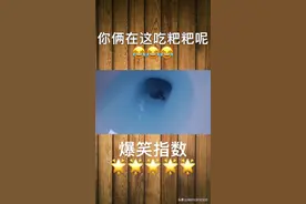 钥匙🔑掉马桶里怎么办
教你方法😂视频封面