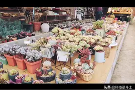 #小米的miui11自带的vlog拍摄短视频视频封面