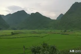 雨后的景色，空气格外的好，凉爽宜人。宜人之州@刘三姐故乡。图片