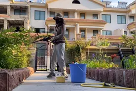 看我是如何给月季施叶面肥？省时又省力！视频封面