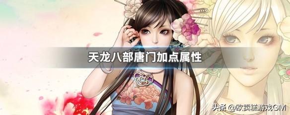 天龙八部唐门加点（天龙八部唐门拥有毒和玄双属性）