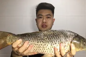 过年了炖条鱼，红烧鲤鱼不煎不炸，加入可乐这样做，味道不错