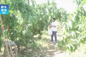 #千里骑行看黄河#【昔日黄沙滩 渐成“花果川”视频封面