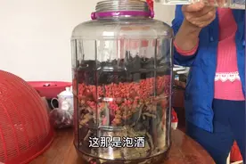 老爸腰痛，再搞一坛鹿筋酒给他喝了