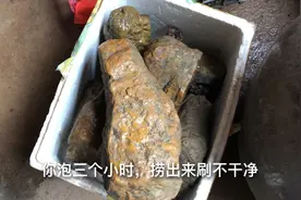 江里捡回来石头，很多青苔跟污垢怎样才能洗干净，小哥来教你视频封面