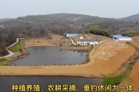 春天的滁州二郎湖生态园太漂亮了！山清水秀，花枝招展！视频封面