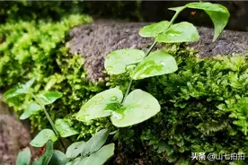 感动无处不在，满满的正能量图片