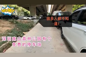 深圳南山荔林公园，有个免费的停车场，很多人都不知道呢视频封面