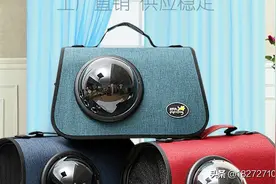 斜挎单肩手提宠物包，尺寸40*26*26厘米45元包邮一个可以发货图片