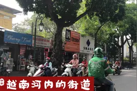 越南河内街道上的大树都是有好几百年的历史，又粗又高又大，很美视频封面
