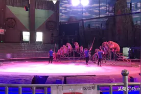 百兽之王庆祝六一视频封面