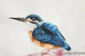 国画“精美的蓝雀鸟”，用笔精湛，毛羽逼真，看一遍大爱了。图片