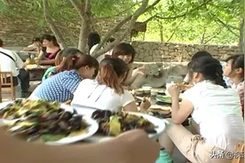 城乡新貌：领略费县芍药山万亩核桃园自然之美视频封面