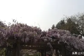 花花的世界图片