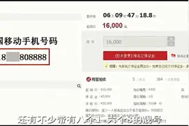 391万买一个手机号视频封面