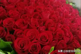 今早习作，望恩师点评指教！图片