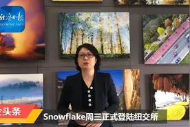 #外企头条#【“雪花”上市，成史上最大软件IPO】据外媒报道视频封面